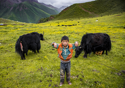 Guardians of the Sacred in Tibet