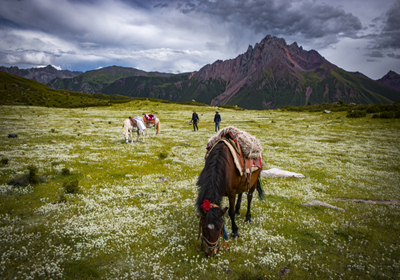 Guardians of the Sacred in Tibet